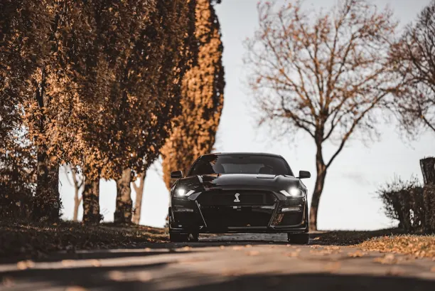 Kaszinó Lion Wins Android/iOS Alkalmazás